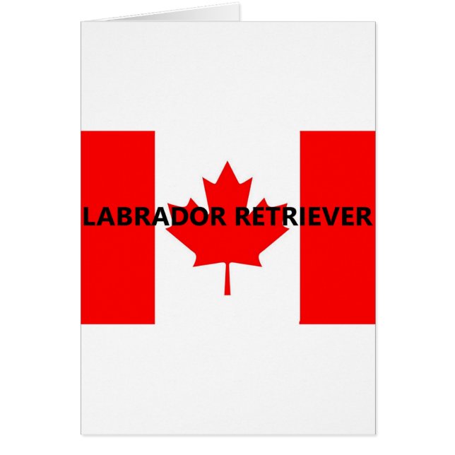 Cartão nome de laboratório canadense-Flag (Frente)