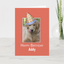 Nome personalizado Aniversário para Cachorro Humor