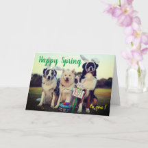 Nome Personalizado Feliz Primavera Cães Felizes Sa