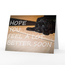 Noodle quer que você seja melhor grande