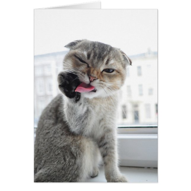 Cartão Noodles Star Trek (Frente)