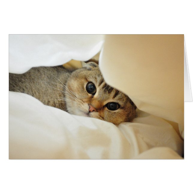 Cartão Noodles tocando esconde-esconde (Frente Horizontal)