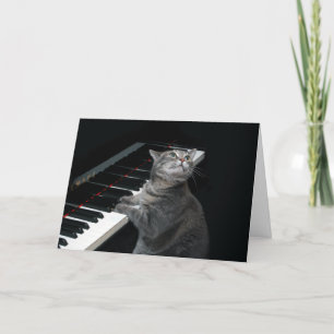 Cartão Nora The Piano Cat - Blank Folded Card - Style 002