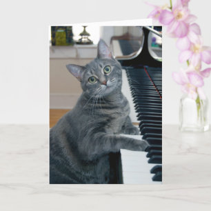 Cartão Nora The Piano Cat - Blank Folded Card - Style 004