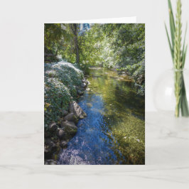 Cartão NorCal Nature Greeting Card: Big Chico Creek Card