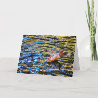 Cartão NorCal Nature Greeting Card: Floating Leaf