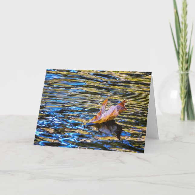 Cartão NorCal Nature Greeting Card: Floating Leaf (Frente)