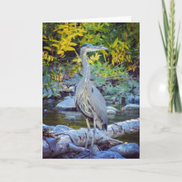 Cartão NorCal Nature Greeting Card: Great Blue Heron Card
