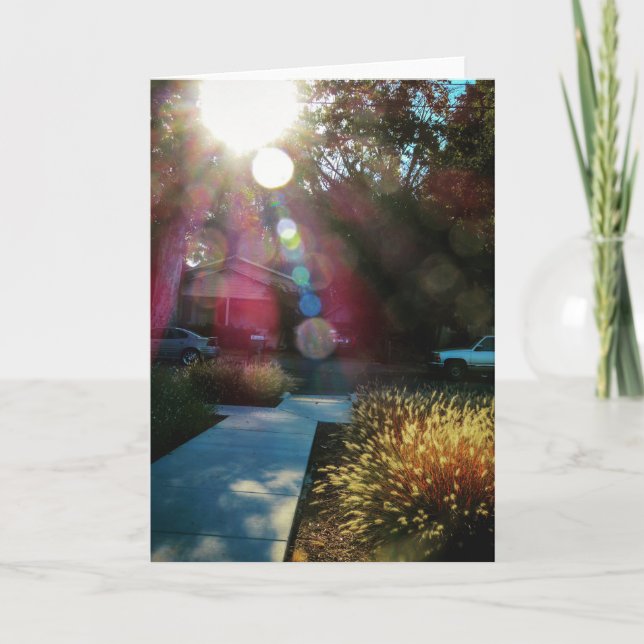 Cartão NorCal Nature Greeting Card: Morning Sunshine Card (Frente)