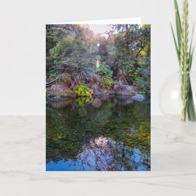 Cartão NorCal Nature Greeting Card: Upper Park Card 1 (Frente)