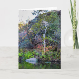 Cartão NorCal Nature Greeting Card: Upper Park Card 2