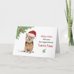 Cartão Norfolk Terrier Christmas from Dog in Funny Papais