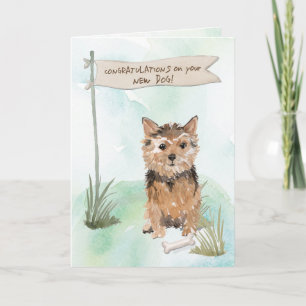 Cartão Norfolk Terrier Congratulations on New Dog