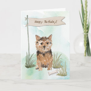 Cartão Norfolk Terrier Dog Sob Sinal De Aniversário