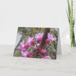 Cartão Noroz, Árvore Redbud em Bloom, Fotografia Primaver