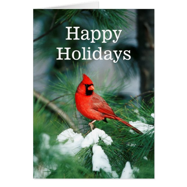 Cartão Norte Cardeal macho na árvore, IL (Frente)