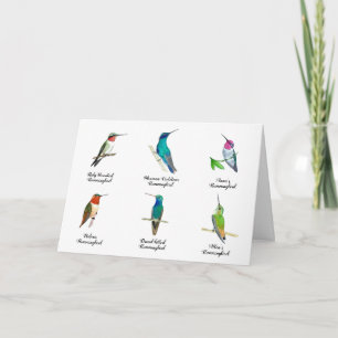 Cartão North American Hummingbirds  Card