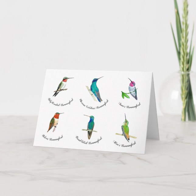 Cartão North American Hummingbirds  Card (Frente)