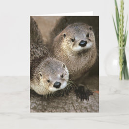 Cartão North American River Otters