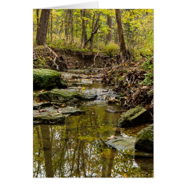 Cartão North Veste Creek (Frente)