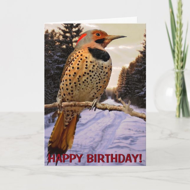 Cartão Northern flicker customizable greetings card (Frente)