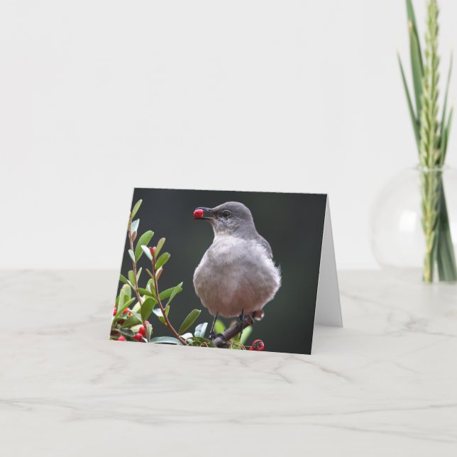 Cartão Northern Mockingbird - Joe Sweeney - card (Frente)