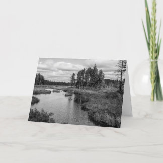 Cartão Northwoods Lake Greeting Card