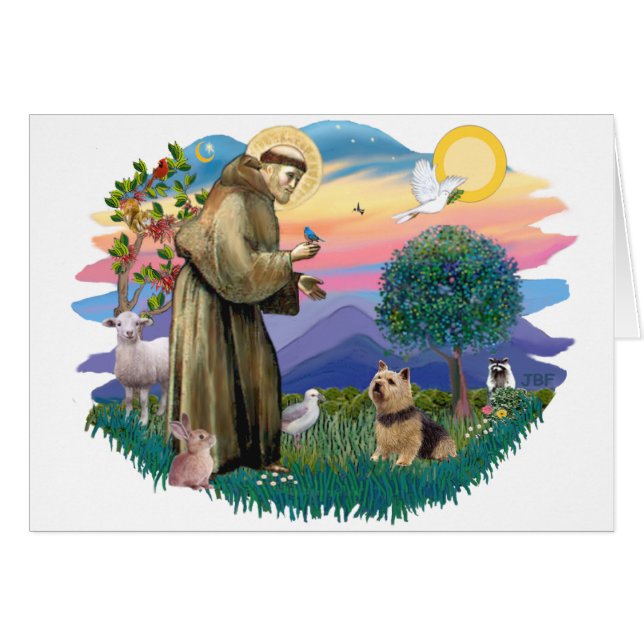 Cartão Norwich Terrier (Frente Horizontal)