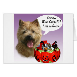 Cartão Norwich Terrier Halloween Candy