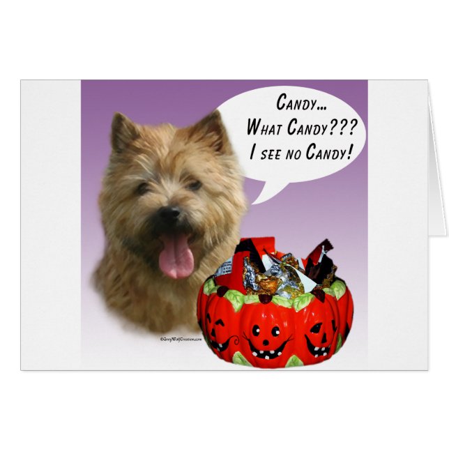 Cartão Norwich Terrier Halloween Candy (Frente Horizontal)