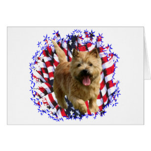 Cartão Norwich Terrier Patriot