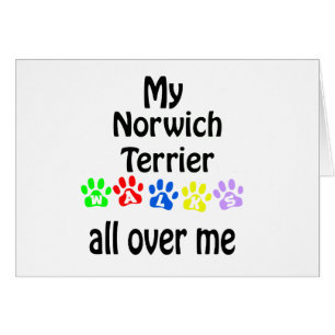 Cartão Norwich Terrier Walks Design