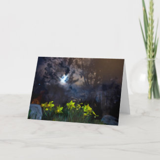 Cartão nós somos donos da noite