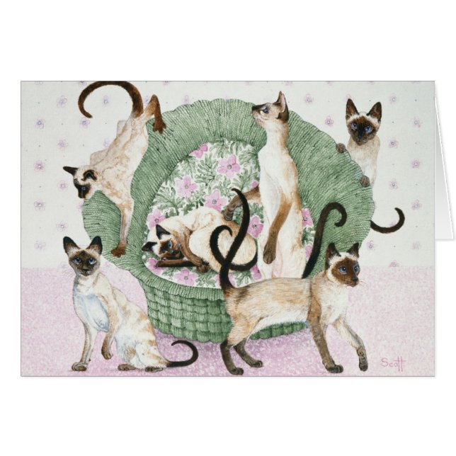 Cartão Nós somos Siamese se você por favor (Frente Horizontal)