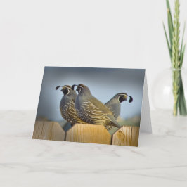 Cartão Nós Três Quail