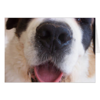 Cartão Nose de Ruthie