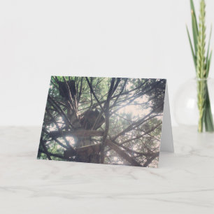 Cartão "nossa árvore diária HOUSE LIFESTILE"