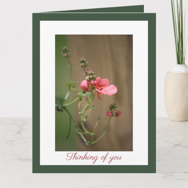 Cartão Nossa mais profunda simpatia (Frente)