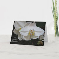 Nossa mais profunda simpatia