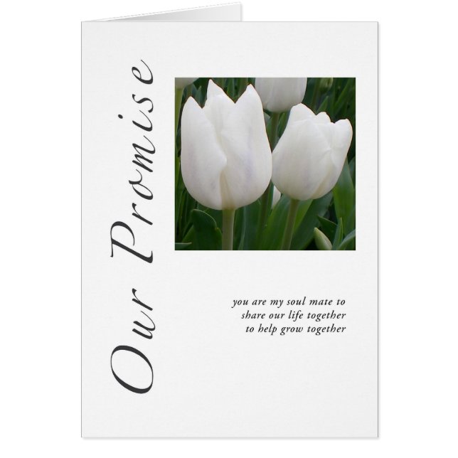 Cartão Nossas tulipas da promessa (Frente)