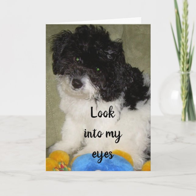 CARTÃO "NOSSO ANIVERSÁRIO" O QUE ACHA QUE ESTOU PENSANDO? (Frente)