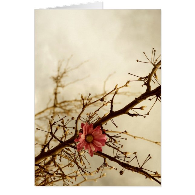 Cartão Nostalgia (Frente)