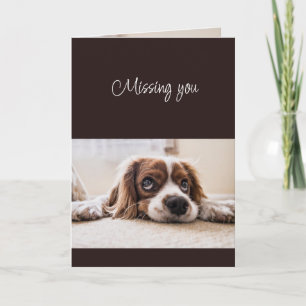 Cartão Nostalgia Como Você Triste Solitário Cachorro Fofo