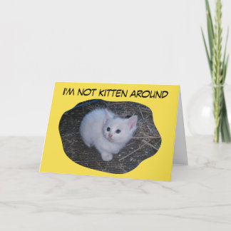 Cartão Not Kitten Around