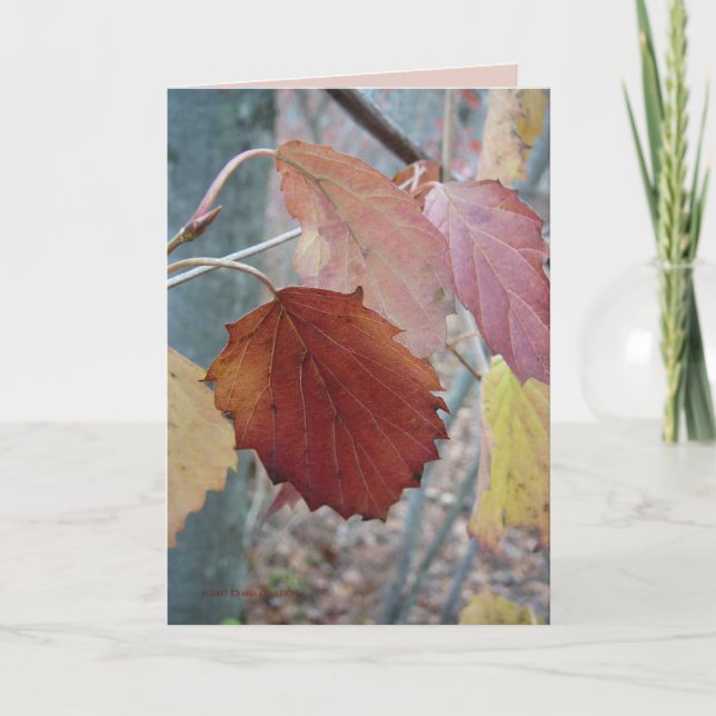 Cartão Not Yet Fallen (Frente)