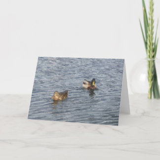 Cartão NOTA CARTÃO: Lago Harriet, "Ducks"_ Card