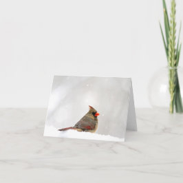 Cartão Nota de Cardeal/Cartão de Saudação