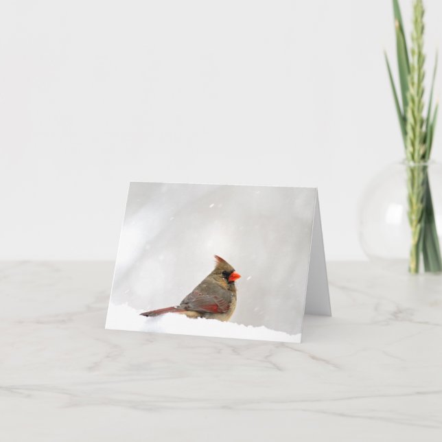 Cartão Nota de Cardeal/Cartão de Saudação (Frente)