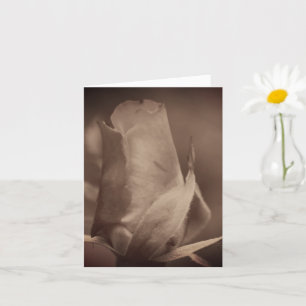 Cartão Nota de Flor Rosa Envelhecida em Sépia Antiga