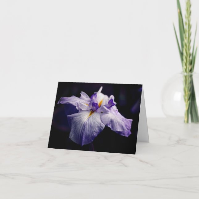 Cartão Nota de Fotografia da Flor de Íris Japonesa (Frente)